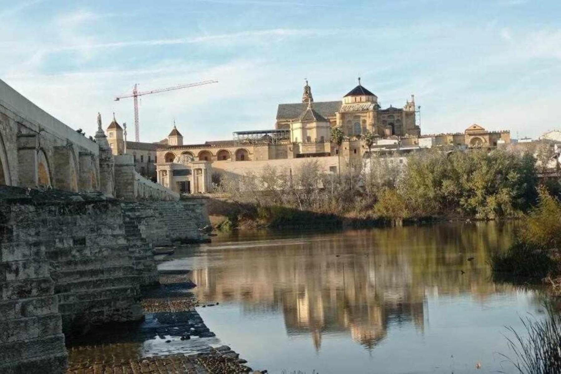 Precioso Loft El Arcangel Junto A La Ribera Córdoba