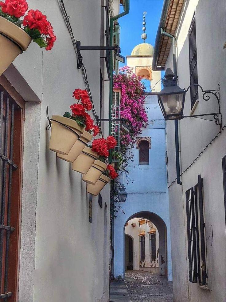 Precioso Loft El Arcangel Junto A La Ribera Appartement *